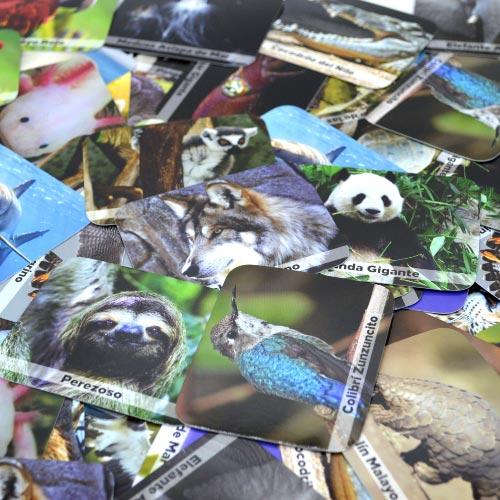 Memoria animales salvajes - Kukara Games