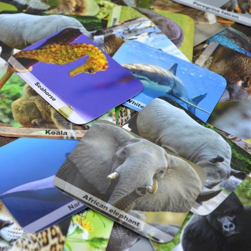 Memoria Wild Animals - Kukara Games